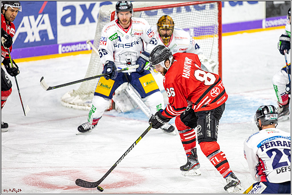 DEL;  Koelner Haie - Eisbaeren Berlin; Koeln, 12.01.2020